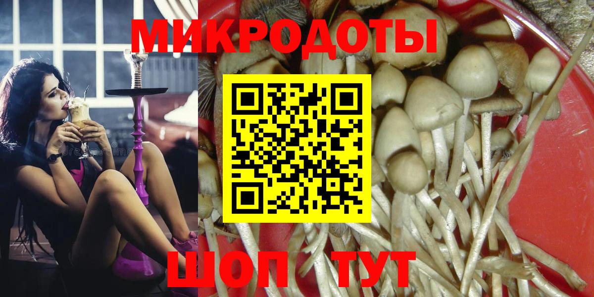 Псилоцибиновые грибы Psilocybine cubensis Кумертау