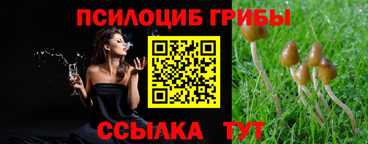 наркота  Вход с VPN  Кумертау  Псилоцибиновые грибы GOLDEN TEACHER 